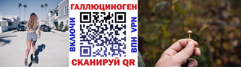 где купить наркоту  Сергач  Псилоцибиновые грибы GOLDEN TEACHER 